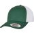 Evergreen/White