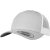 Silver/White