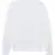 Arctic White